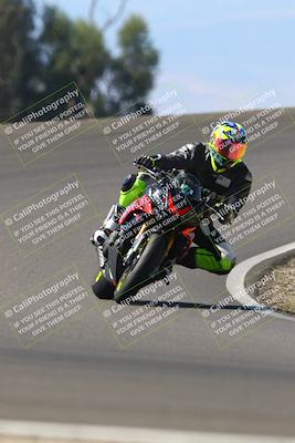 media/Sep-21-2025-TrackDaz (Sun) [[277c75b276]]/B Group/1220pm (Turn 2)/